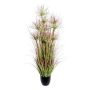 Decorative grass Cyperus papyrus DARSA in decorative pot, green-red, 4ft/125cm