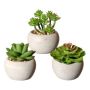 Artificial arrangement of succulents PLOKSA in cement pot, 3 pieces, green, 2.6"-3.2"/6,5-8cm
