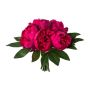 Artificial bouquet of peonies SIRKO, cerise, 12"/30cm