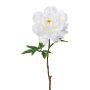 Artificial flower Peony GLOUT, white, 26"/65cm