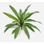 Artificial plant: Nest Fern JANE, stem, green, 40cm