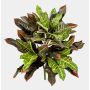 Artificial 'Wondershrub' HARTMUTE, support stick, flame-retardant, multicoloured, 20"/50cm