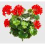 Artificial geranium ‘OTTAVIA’ on a stem, crossdoor, red, 40cm