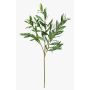 Artificial olive branch BRANDAR, crossdoor, green, 70cm