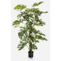 Artificial plant Philodendron Monstera Deliciosa Variegata MEBSUTA, green-white, 5ft/160cm