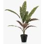 Fake Calathea Makoyana plant 'WIDO' in a decorative pot, green-burgundy, 24"/60cm