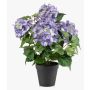 Artificial hydrangea DORJA in a decorative pot, lilac, 40cm