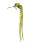 Artificial branch Amaranth KORALIE with flowers, green, 4ft/120cm