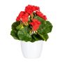 Fleur decorative Geranium CRONVEL in ceramic pot, crossdoor, red, 10"/25cm