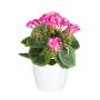 Fleur decorative Geranium CRONVEL in ceramic pot, crossdoor, fuchsia, 10"/25cm