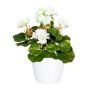 Fleur decorative Geranium CRONVEL in ceramic pot, crossdoor, white, 10"/25cm