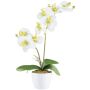 Artificial Phalaenopsis orchid KRUZBER, ceramic pot, roots, white-green, 22"/55cm