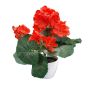 Artificial flower Geranium VORTEN in a white decorative pot, red, 10"/25cm