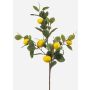 False lemon branch QUEOSHA with fruits, yellow, 3ft/95cm