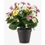 Artificial pansy NORHA in decorative pot, white-purple-yellow, 30cm
