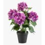 Artificial hydrangea DORJA in a decorative pot, purple, 40cm