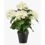 Artificial hydrangea DORJA in a decorative pot, white and green, 40cm