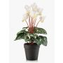 Artificial cyclamen VERIANA in decorative pot, white-green, 12"/30cm
