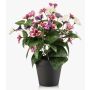 Artificial pansies NORHA in decorative pot, pink-purple-white, 30cm