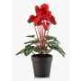 Artificial cyclamen VERIANA in decorative pot, red, 12"/30cm