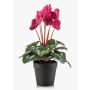 Artificial cyclamen VERIANA in a decorative pot, fuchsia, 12"/30cm