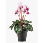 Artificial cyclamen VERIANA in a decorative pot, white-fuchsia, 12"/30cm