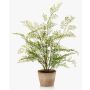 Artificial maidenhair fern GLERAN in a terracotta pot, with roots, green, 26"/65cm