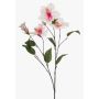 Decorative hibiscus branch TRUGEN with flowers, white-pink, 85cm
