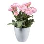 Artificial flower Ranunculus SLIVOR in melamine planter, white, 8"/20cm
