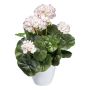 Artificial flower Geranium KLUMOR in melamine planter, white-pink, 14"/35cm