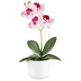 Artificial Phalaenopsis orchid WERKAN, ceramic pot, roots, white-fuchsia, 11"/27cm