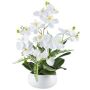 Artificial flower arrangement of orchid and fern SALTER in ceramic bowl, white, 22"/55cm