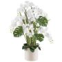Artificial flower arrangement of orchid and philodendron CASTOL, sansevieria Mikado, decorative pot, white, 4ft/120cm