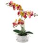 Artificial Phalaenopsis orchid BLORVEN, cement bowl, roots, yellow-fuchsia, 20"/50cm
