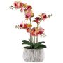 Artificial Phalaenopsis orchid BLORVEN, cement bowl, roots, yellow-fuchsia, 22"/55cm