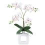 Artificial Phalaenopsis orchid DRUKLON, ceramic vase, roots, white-red, 16"/40cm