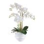 Artificial Phalaenopsis orchid STONFER, white decorative pot, roots, white, 28"/70cm
