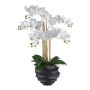 Artificial Phalaenopsis orchid STONFER, black decorative pot, roots, white, 28"/70cm