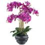 Artificial Phalaenopsis orchid STONFER, black decorative pot, roots, purple, 28"/70cm