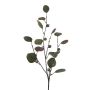 Artificial branch of eucalyptus TRAVON with fruits, green, 30"/75cm