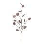 Artificial branch of eucalyptus TRAVON with fruits, aubergine, 30"/75cm