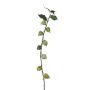 Decorative branch Physalis BROLE with fruits, light green, 3ft/95cm