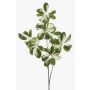 Decorative Schefflera PARVANEH branch, green-white, 4ft/110cm