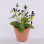 Decorative artificial pansy ‘BAHNY’ in a terracotta pot, violet and white, 17cm
