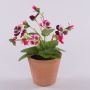 BAHNY decorative artificial pansy in a terracotta pot, pink and white, 17cm