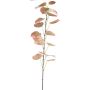 Decorative black poplar branch SOLVEN, red-green, 4ft/120cm
