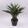 Artificial Agave BERIC, green, 24"/60cm