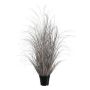 Decorative grass Sedge TAVRE, champagne, 3ft/95cm