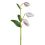 Artificial flower Checkered lily FRENT, pink-white, 22"/55cm