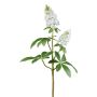 Artificial chestnut branch KLARHO with blossoms, white, 37"/95cm